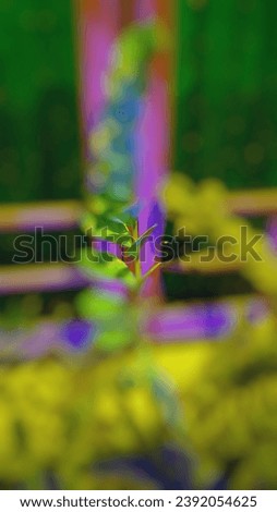 Blurred colorful gradient background. Beautiful blurred pattern with abstract image concept
