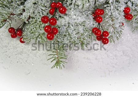 xmas firs red ribbon mistletoe - christmas background