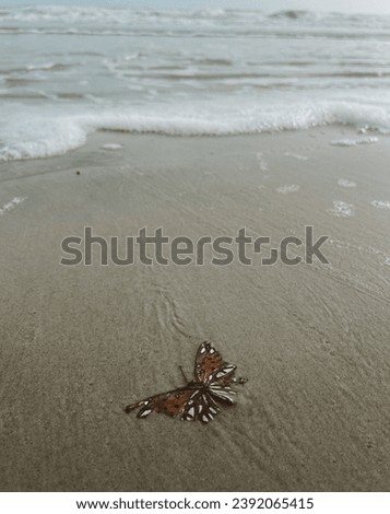 Eerie beautiful sight, butterfly in sand, fine art photo