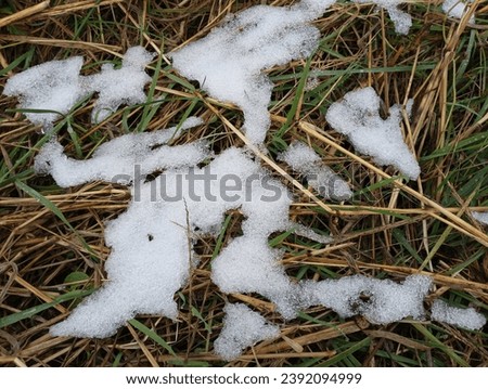 The first snow on the green grass. The texture of the first winter precipitation on the street. Approaching cold season.