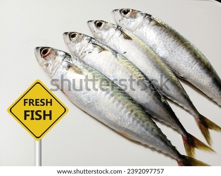 fresh fish, mackerel fish, fish pictures, fish background, whole mackerel 