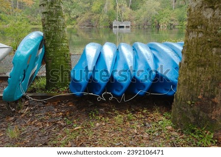 Close up of five blue plastic kayaks on ground between two trees with water and green trees in background. Royalty-Free Stock Photo #2392106471