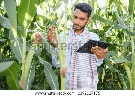 young indian farmer at corn field Royalty-Free Stock Photo #2392127175