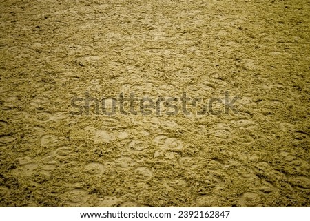 Nature's canvas reveals a story of hoofprints left behind on the earth – horse tracks imprinted in the soil, a testament to the graceful presence of these magnificent creatures. Royalty-Free Stock Photo #2392162847