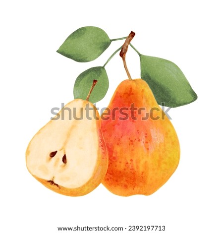 Fruit composition of yellow pear with leaves. Ripe fruits from the tree. Vegetarian products. Organic food. Clip art for packaging design. Hand drawn marker and watercolor illustration, isolated.