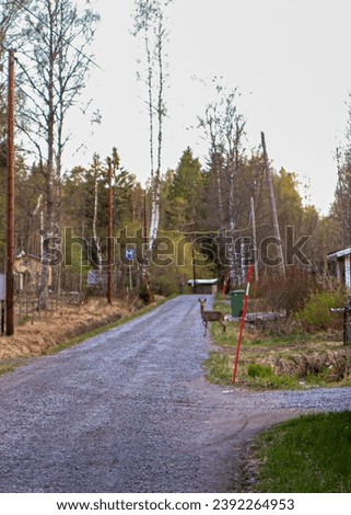 Serene wildlife moment: A curious deer on a gravel path in the tranquil forests of Tyresta National Park near Stockholm, Sweden. Royalty-Free Stock Photo #2392264953