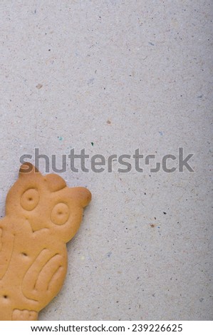 top-view of owl biscuits background