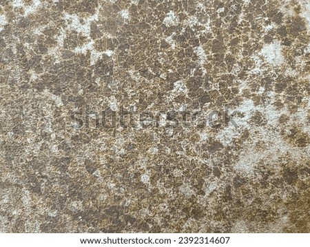 Natural style hard surface  Old cement surface with algae stains  Patterns that take time to achieve.