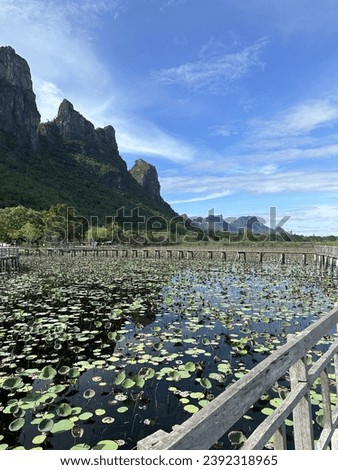 Thung Sam Roi Yot Freshwater Marsh in Hua Hin, Thailand Royalty-Free Stock Photo #2392318965