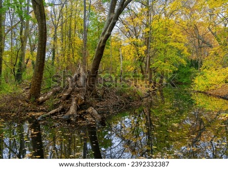 Autumn time, trees and foliage in the park, Berlin, Germany