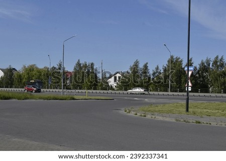 Cityscape: highway with cars moving along it. Tall trees with green crowns grow lushly behind the road