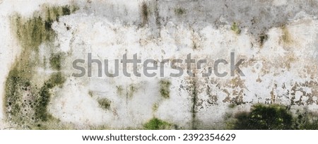 Green moss and rain stains on cement wall Royalty-Free Stock Photo #2392354629