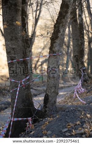 red and white warning tape on trees in the forest, selective focus