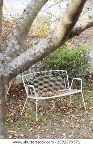 White garden bench in a garden in late autumn.