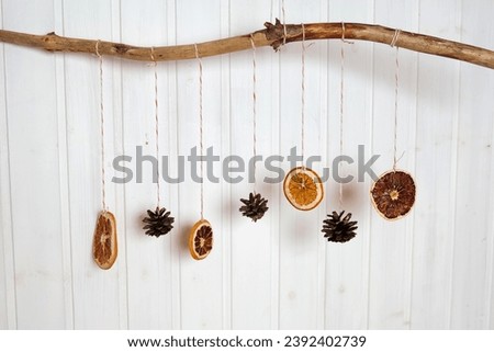 Simple Elegant DIY Christmas Decorations in Scandinavian Style. Minimal Christmas Natural Garland. Aesthetic Xmas Craft. Trendy Farmhouse Decor Idea. Dried Orange Slices, Cones Hanging on a Branch