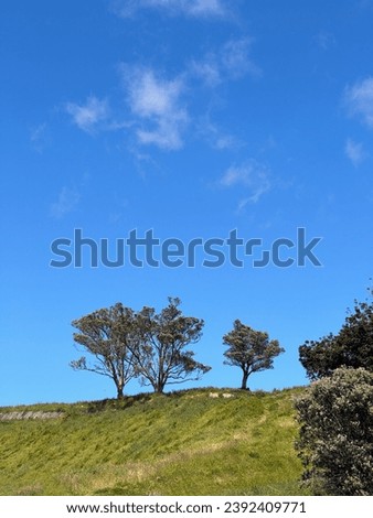 Mount Eden, Auckland, New Zealand Royalty-Free Stock Photo #2392409771
