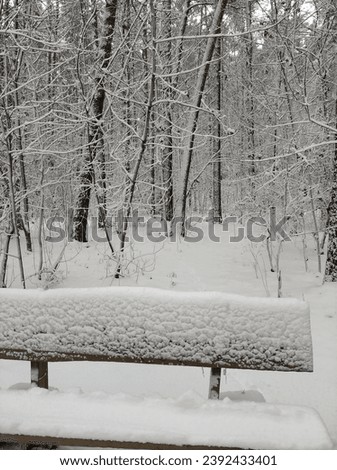 Snow covered bench ina forest park.