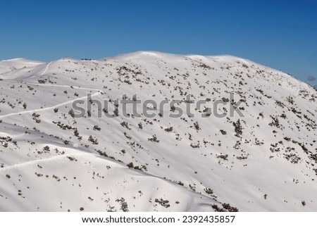 Sloping snowy hillside with traces of skis and tops of bushes Slovenia