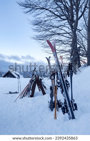 Skis and poles in the snow waiting for the owners who are tired after skiing