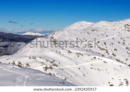 a hill covered with snow with traces of skis and treetops against a blue sky