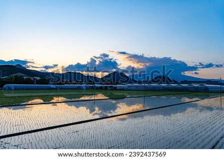 Beautiful evening countryside scene with reflection of the blue sky Royalty-Free Stock Photo #2392437569