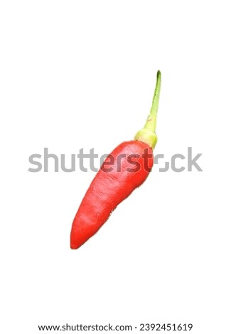 a single red pepper on a white background.