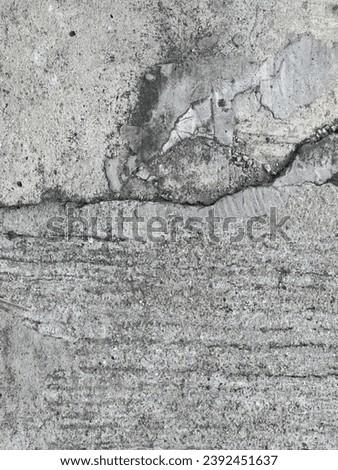 a crack in the concrete.
