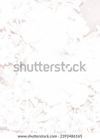 white background light ppt flower plants texture wallpaper powerpoint . best  image top presentation high quality 