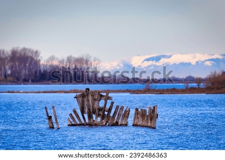 Wooden shipwrecks at low tide against the backdrop of snow-covered Alps.
