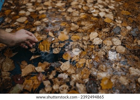 Close-up of a Person Touching Autumnal Leaves in the Water
