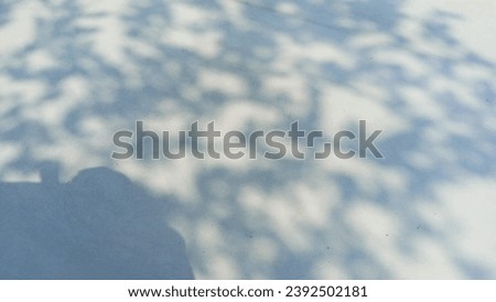 saw the shadows of trees on the hood of a white car