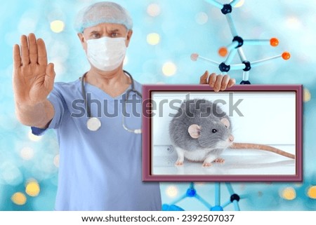 doctor warns about spread of rodents and diseases, gray rat in picture, concept rodent-borne diseases, Behavioral Studies Research on rodents