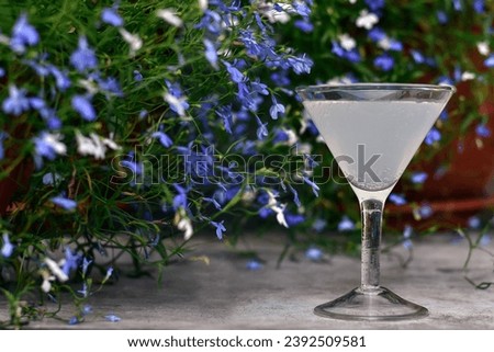 Alcoholic cocktail on blue flowers background. Cold cocktail in martini glass close up view.