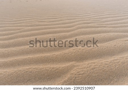 Dunes and Beach of Maspalomas Gran Canaria Spain