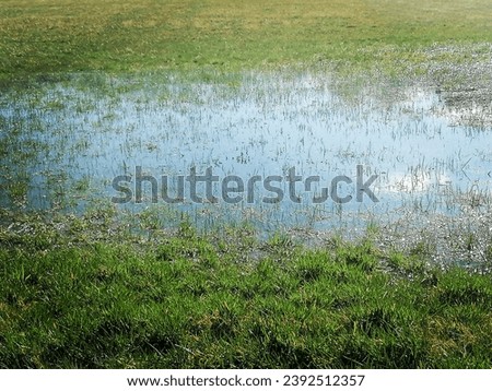 The picture shows a huge rain puddle in a meadow. The clouds are reflected in her.