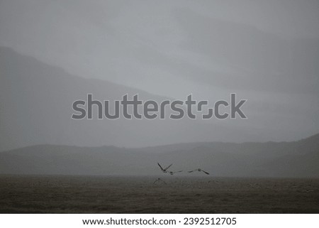 Fog and inhospitable weather are two aspects that often characterize Iceland's climate. Here, among the icy winds and cold currents, fog becomes an integral part of the landscape, giving it mystery Royalty-Free Stock Photo #2392512705