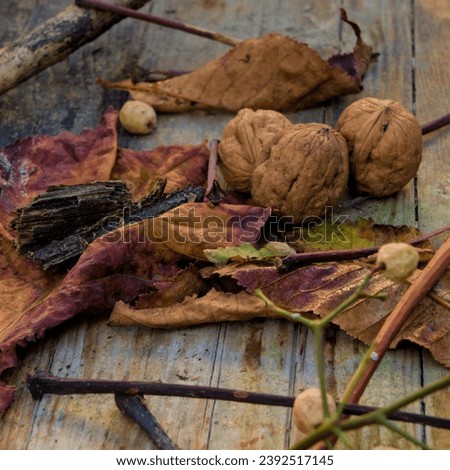 Autumn, leaves on the ground, some fruits. A still life of the Fall