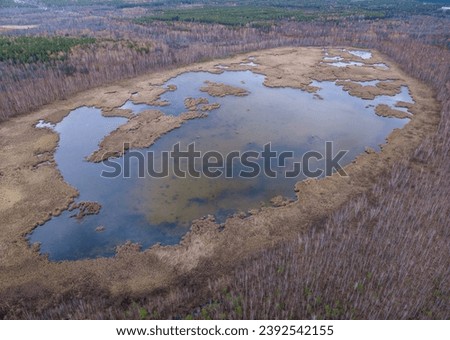 Colorful autumn forest with trees on the shore of a blue lake - top aerial view. Bright landscape autumn background with a bird's eye view. Copy Space template.