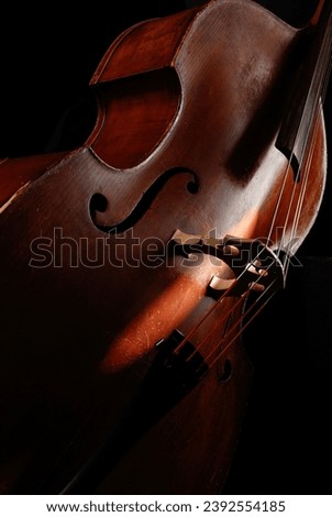 Beautiful classic double bass. Acoustic double bass . Contrabass. Wooden musical string instrument. Wooden Double bass bridge and strings. Close up. Music concept. Selective focus