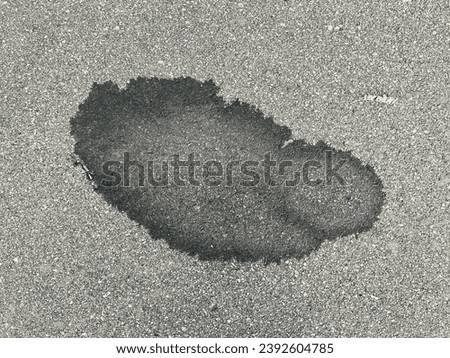 Abstract oil stain on the asphalt looks like a beautiful minimal organic shape artwork.