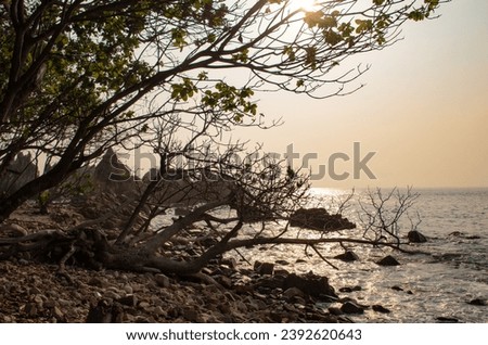 Rows of rocks at Gigi Hiu Beach at sunset; Shark Teeth, Kelumbayan District, Tanggamus Regency, Lampung, Indonesia