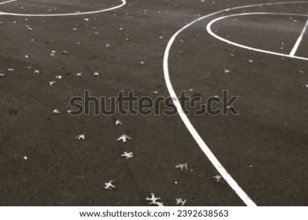 Leaves on Section of Basketball Court