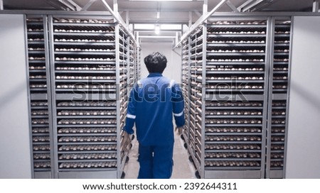 an operator  walking and check the condition of the hatched eggs on the incubator machine. Royalty-Free Stock Photo #2392644311