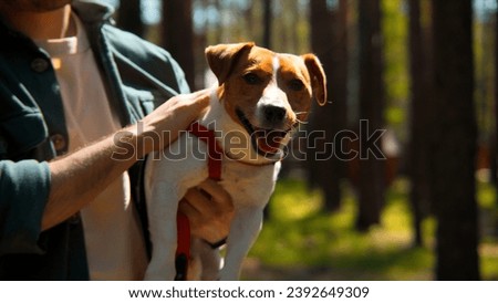 Portrait of a man holding and stroking happy jack russell dog on a green forest and grass background. Stock footage. Animal in the countryside.