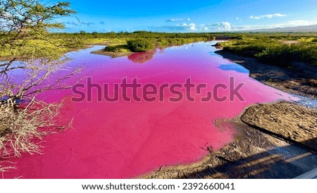 Pink Pond in Kihei, Hawaii on the island of Maui