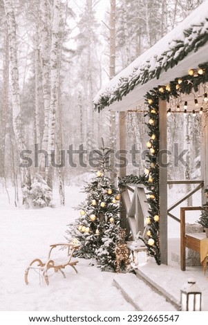 amazing side view of house in a snowy jungle  Royalty-Free Stock Photo #2392665547