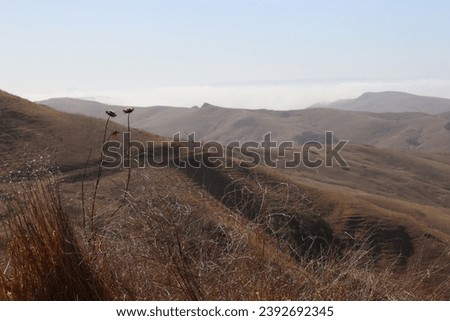 The Californian countryside in early fall, pictured from Highway 46, 