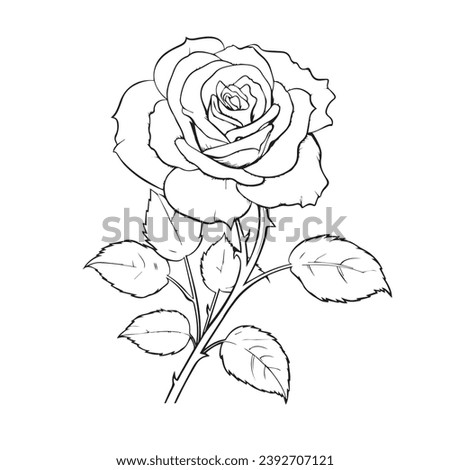 Rose outline with leaves for kids books cover, greeting card and invitation of the wedding, birthday, Valentine s Day, mother s day, holiday.