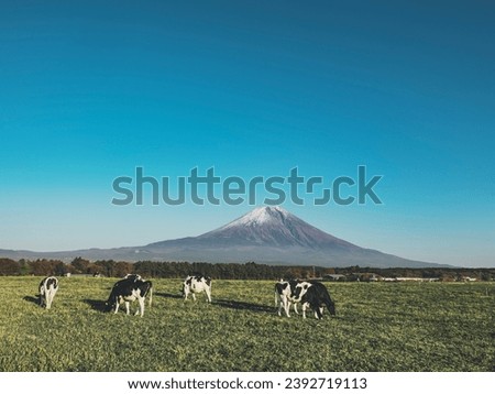 A herd of cows at Asagiri Kogen Farm in Fujinomiya City, Shizuoka Prefecture, Japan and Mt. Fuji at dusk
 Royalty-Free Stock Photo #2392719113