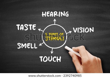 The 5 types of external stimuli - divided into our senses: touch, vision, smell and taste, mind map concept for presentations and reports Royalty-Free Stock Photo #2392740985